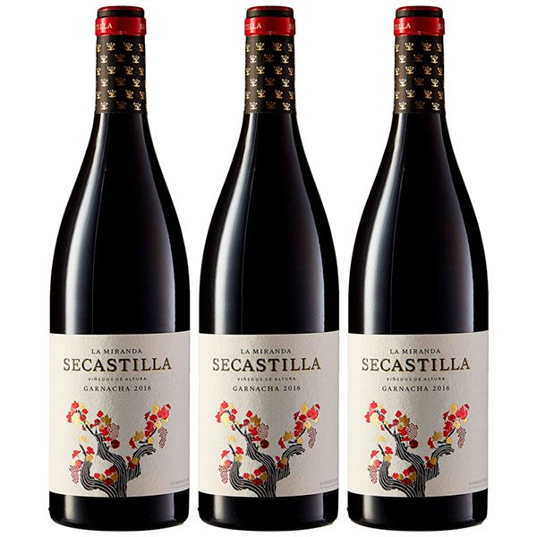 La Miranda de Secastilla