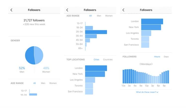 análisis de negocios de instagram